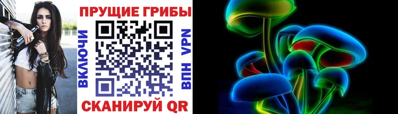 блэк спрут рабочий сайт  как найти   Новоржев  Галлюциногенные грибы Psilocybe 